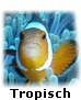 Tropisch