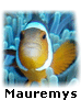 Mauremys